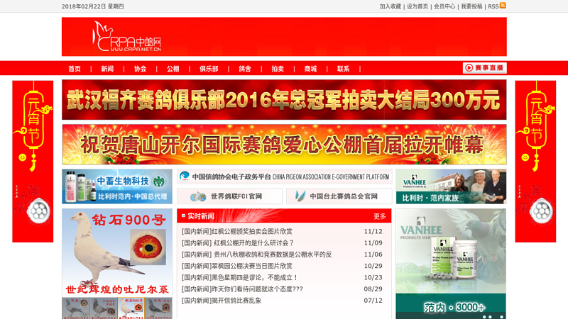 中鸽网-中国信鸽协会官方合作伙伴-中国最权威的赛鸽网站