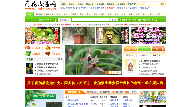 中国兰花交易网－兰花拍卖,兰花图片,兰友互动尽在本兰花网